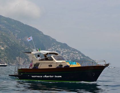 Sparviero 820